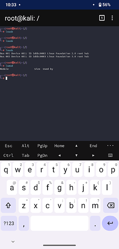 Screenshot_20241228-103354_NetHunter Terminal
